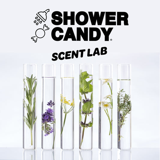 Diving into our scent profiles